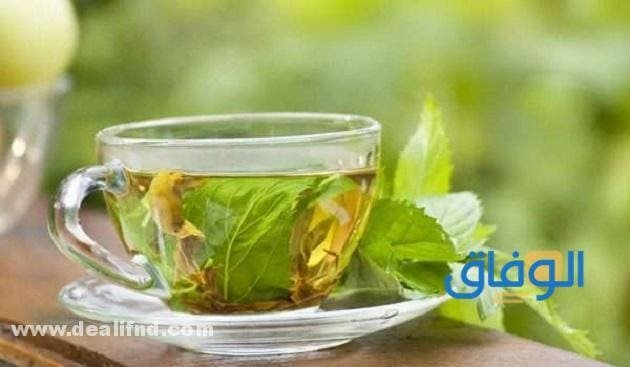 04 أفضل أنواع الشاي الأخضر؟ وفوائده؟ بالتفصيل؟ فوائد الشاي الأخضر