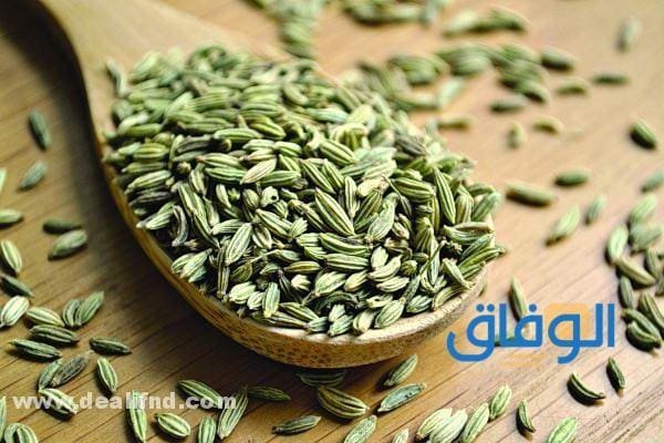 فوائد الشمر للصدر