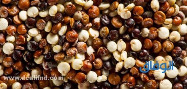 +10 فوائد الكينوا؟ للصحة؟ والجسم؟ والتنحيف؟