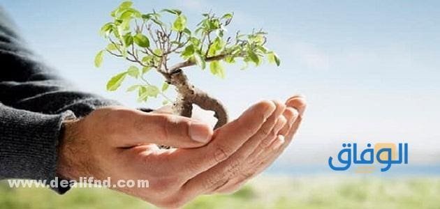 موضوع عن الأخلاق وأهميتها