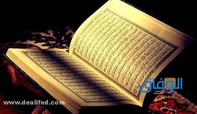 تحديث تردد قناة القران الكريم؟ – 5 من أشهر قنوات القرآن وترددها