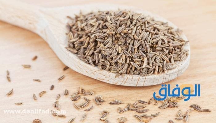 فوائد الكمون للبطن +10 فوائد (للبطن والتخسيس والصحة) تعرف عليها