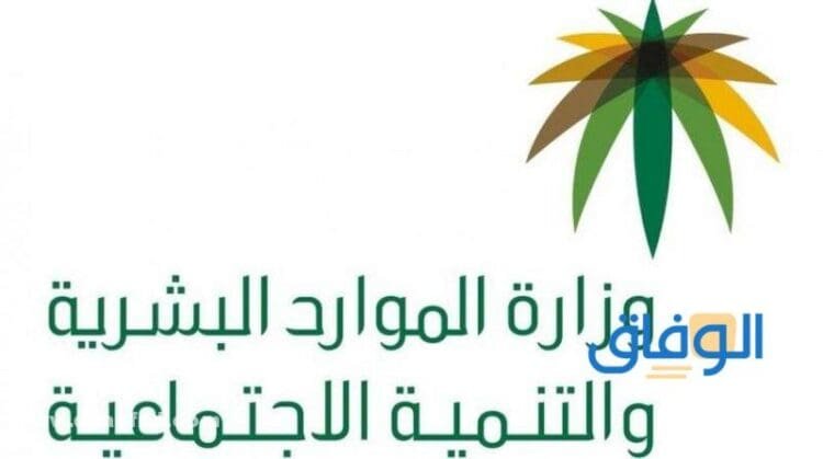 +10 وظائف لزوجة المواطن؟!