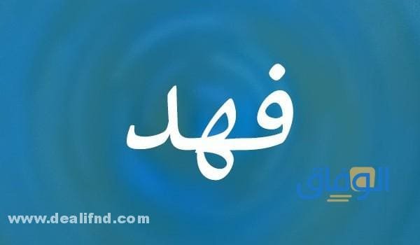 معنى اسم فهد و05 دلالات عجيبة لرؤيته في الحلم