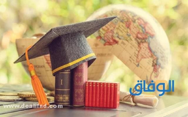 افضل الجامعات في مصر