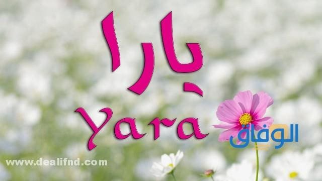 معنى اسم يارا