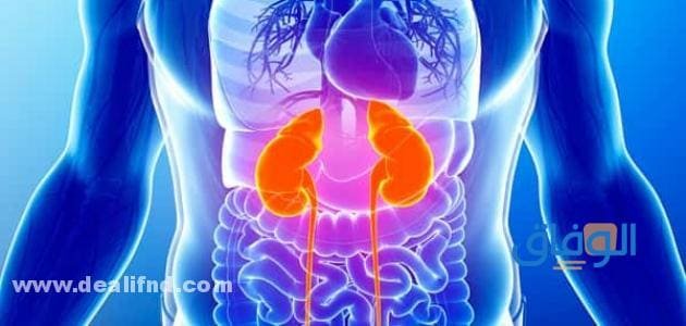 أعراض أملاح الكلى