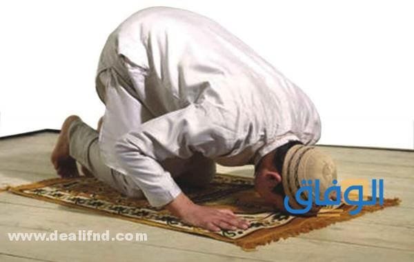 انواع صلاة التطوع؟ وعدد ركعاتها؟