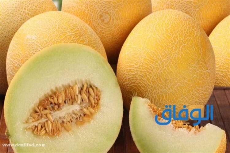 فوائد الشمام للرجل