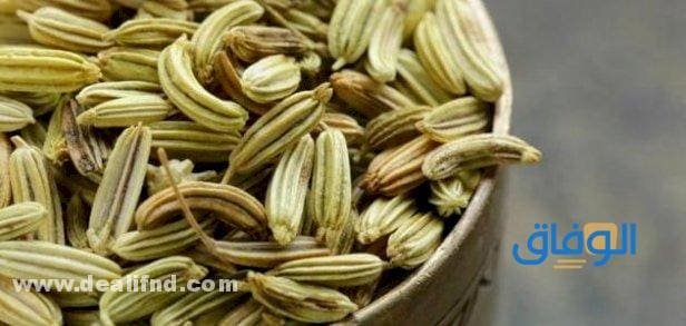 فوائد الشمر للكرش
