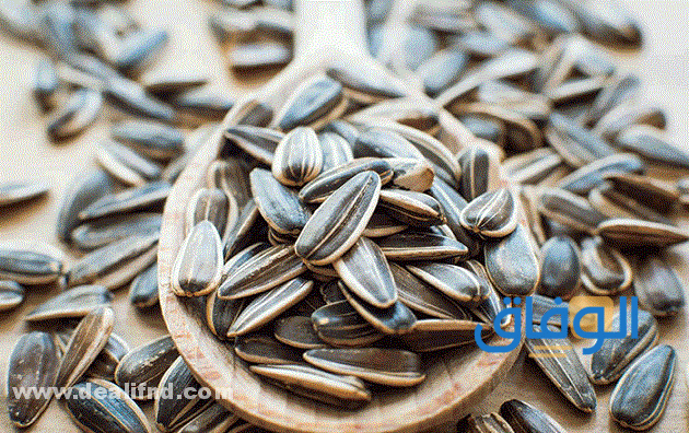 +10 فوائد الفصفص عن تجربة