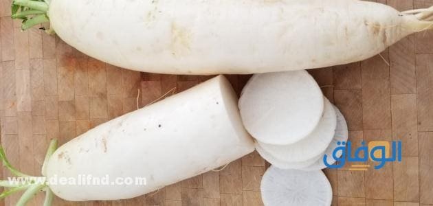 فوائد الفجل الأبيض