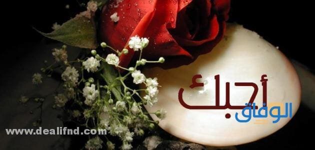 كلام جميل للزوجة جديدة ومميز | 100 عبارة في حب شريكة الحياة