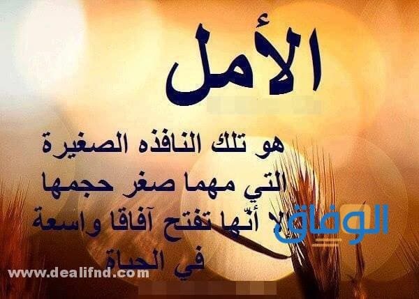 كلام جميل ورائع