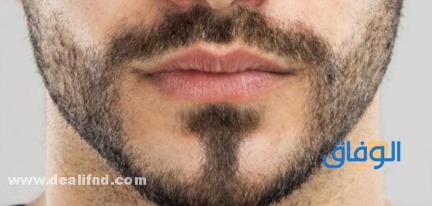 طرق تنبيت الشارب