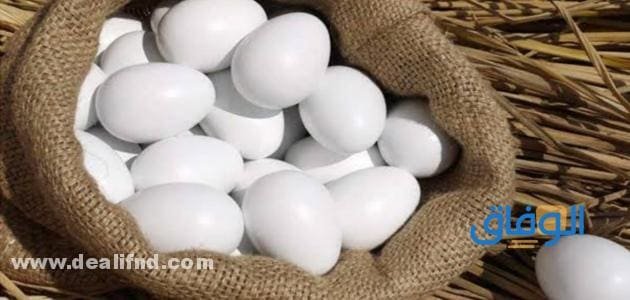 +02 (تفسير حلم البيض للعزباء) مطهي ومكسور