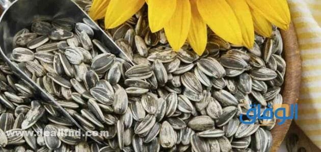 +10 (أضرار حب دوار الشمس) بالتفصيل وأفضل البدائل