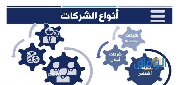أنواع الشركات – أفضل الشركات
