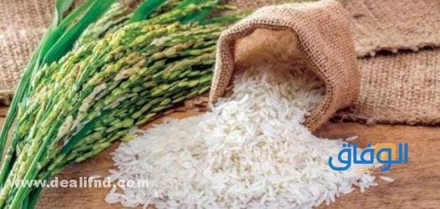 سعر الشعير اليوم (الأسواق المحلية المصرية)