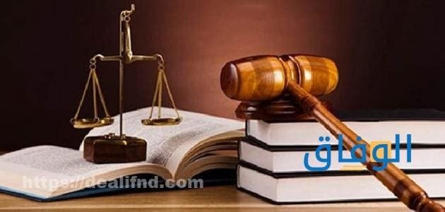معلومات عن تخصص القانون