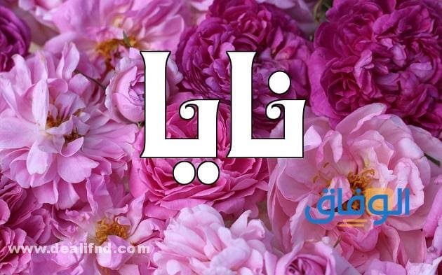 معنى اسم نايا