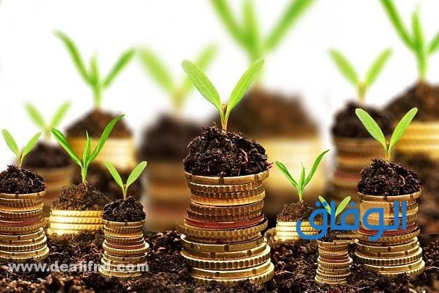 من هم أهل الزكاة | وما هي شروطها؟