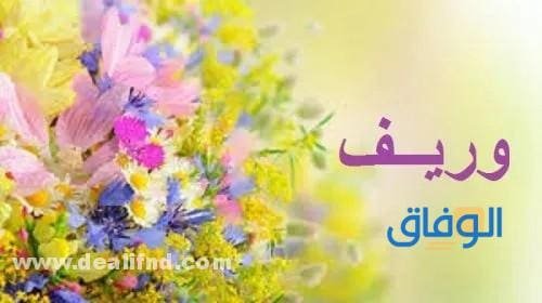 معنى اسم وريف