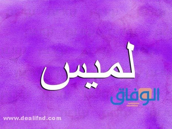 معنى اسم لميس