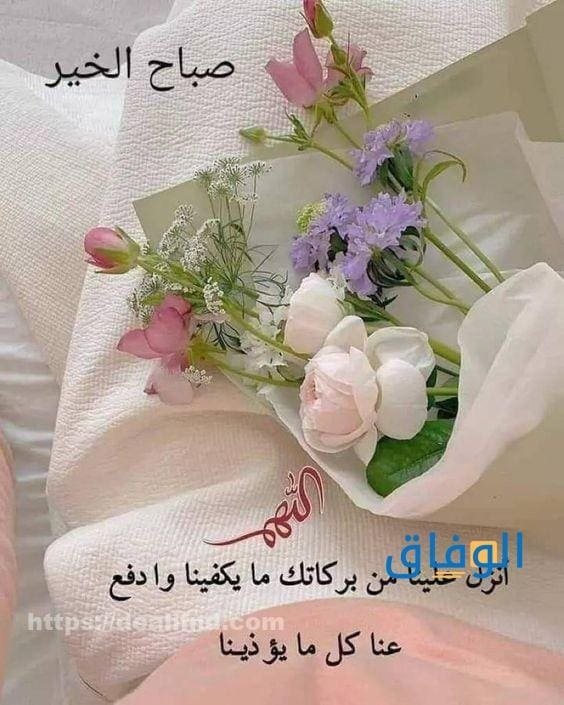 +200 صور عن صباح | حاملاً الإشراقات الجميلة والأحلام قيد التحقيق