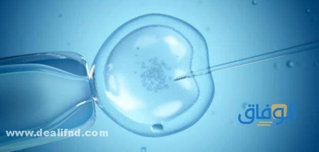 تجربتي مع الحقن المجهري بالتفصيل | ونصائح قبل الحقن