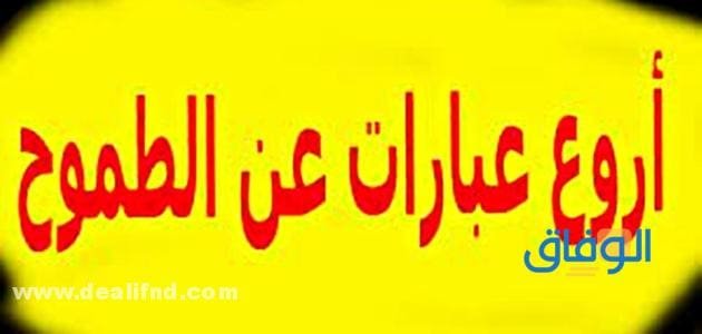 تعرف على بارات عن الطموح والإنجاز | +25 عبارة رائعة عن الطموح !!
