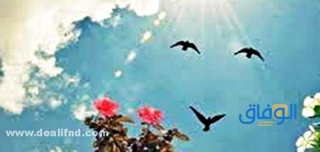 عبارات عن جمال الجو