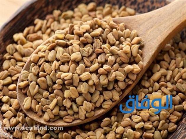 +05 أضرار الحلبة | مهمة جداا !!