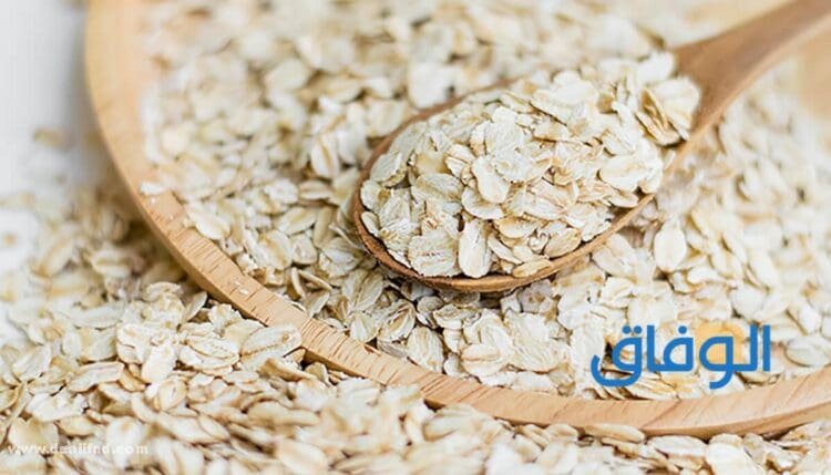 هل الشوفان للرضع يسمن أم لا؟ الشوفان للرضع يسمن