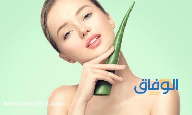 الصبار للوجه تجربتي مع كاملة | 08 أضرار للصبار على البشرة