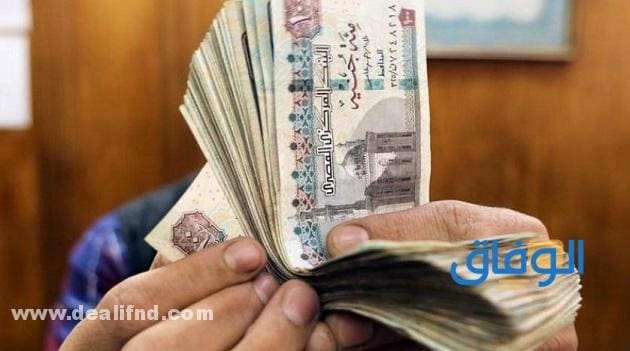 استعلام بالرقم القومي تكافل وكرامة | بالرقم القومي! تفاصيل حول معاش تكافل وكرامة
