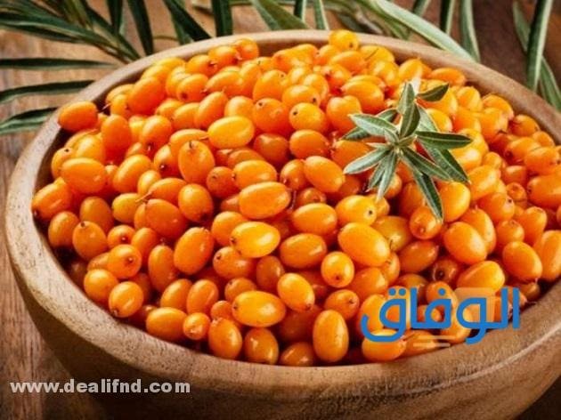 +10 فوائد العبري لا غنى عنها !!