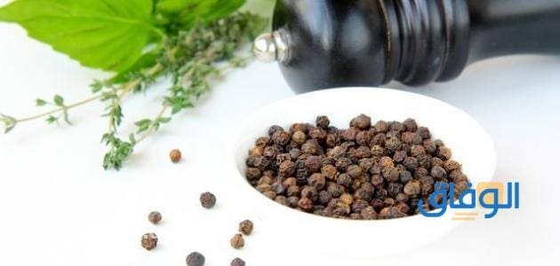 +10 الفلفل الأسود للحامل ما فوائده؟ ولغير الحامل ايضا؟ فوائد الفلفل الأسود للمرأة الحامل