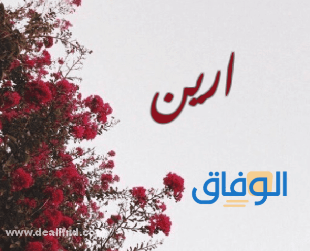 معنى اسم ارين Areen وهل يجوز تسميته؟!