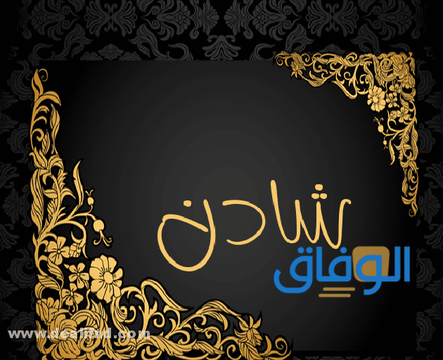 معنى اسم شادن.