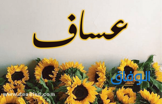 معنى اسم عساف