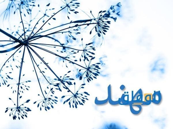 معنى اسم مهند