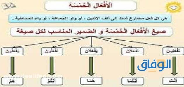 من الافعال الخمسة