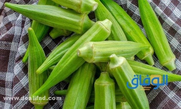 +05 فوائد البامية للرجال والنساء | ستدهشك !! منافع تناول البامية