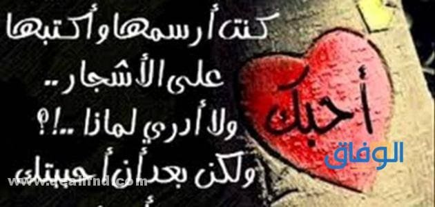 +200 أجمل (أقوال في الحب) لا مثيل لها