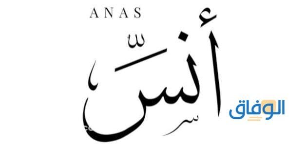 ما معنى اسم انس؟ وحكم التسمية به في الإسلام