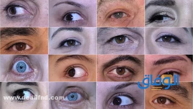 بالصور +14 (انواع العيون) وأشكالها وما هي دلالاتها؟!