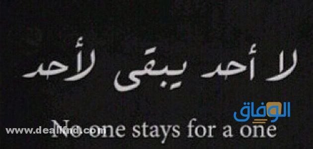 عبارات فخمة