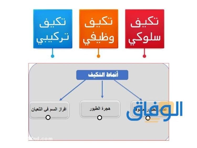 أنواع التكيف؟ وما هي أقسامه أنواع التكيف