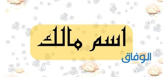 معنى اسم مالك